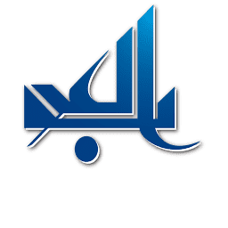 Logo Arab Investors Company Ltd.