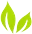Logo Bright Green Corporation