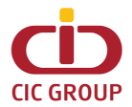 Logo The CIC Insurance Group Plc