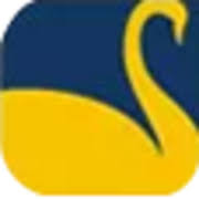 Logo New Swan Multitech Limited