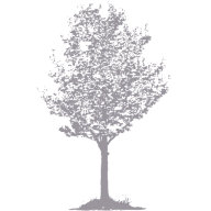 Logo Pear Tree Advisors, Inc.