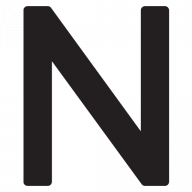 Logo Domenico Neri Srl