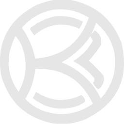 Logo Kolomensky Zavod PJSC