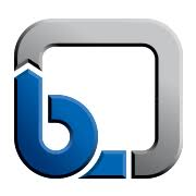 Logo KSB Pumps Co., Ltd.
