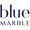 Logo Blue Marble Investments LLC