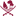 Logo Qatar Central Bank