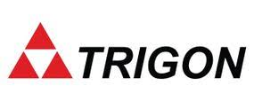 Logo Trigon, Inc.