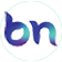 Logo BN Holdings Ltd.
