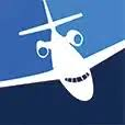 Logo New Flight Solutions, Inc.