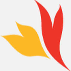 Logo FireID Pty Ltd.