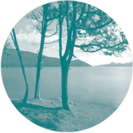 Logo Orcas Island Community Foundation