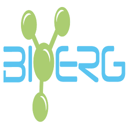 Logo BRG SA
