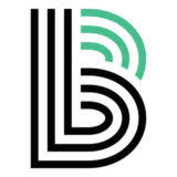 Logo Big Brothers Big Sisters of Northcentral Wisconsin