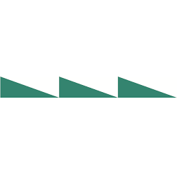 Logo The Biopharmaceutical Technology Center Institute