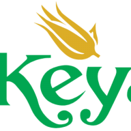 Logo Keya Group
