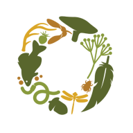 Logo Ontario Society for Environmental Education
