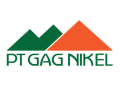Logo PT Gag Nike