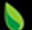 Logo Sequoia Financial Group Pty Ltd.