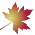 Logo The Golden Charter Trust