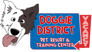 Logo Doggie District Franchise Co. LLC