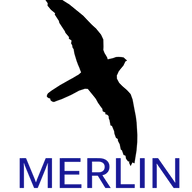 Logo Merlin Capital, Inc.