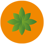 Logo Carrot Risk Technologies Ltd.