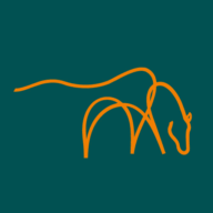 Logo The Mare & Foal Sanctuary