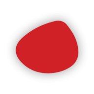 Logo Melanoma Network of Canada