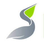 Logo Pelican Underwriting Management Ltd.