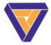 Logo Vibizon Technology, Inc.
