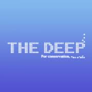 Logo Running Deep Ltd.