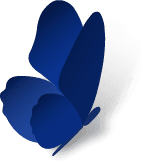 Logo Momenta Finance Ltd.