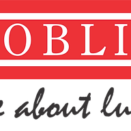 Logo Goblin India Ltd.