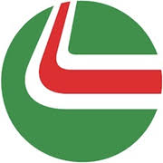 Logo Insight Analytics Solutions Holdings Ltd.
