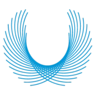 Logo CEO Space International, Inc.