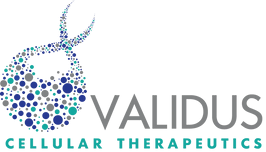 Logo Validus Cellular Therapeutics, Inc.