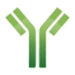Logo MiraVista Diagnostics