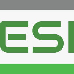 Logo ESI SpA