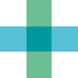 Logo Bausch + Lomb Corp.