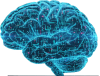 Logo Intellect Dynamics