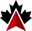 Logo Blacknorth Initiative