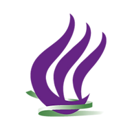 Logo Jewish Coalition Against Domestic Abuse
