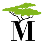 Logo MTI Investment SE