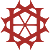 Logo Has Healthcare Advanced Synthesis
