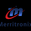 Logo Merritronix Pvt. Ltd.