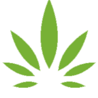 Logo Raphael Pharmaceutical, Inc.