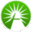 Logo Fisc-Ireland Ltd.